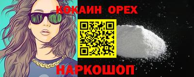 альфа пвп Новодвинск
