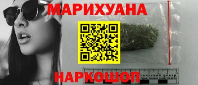 альфа пвп Новодвинск