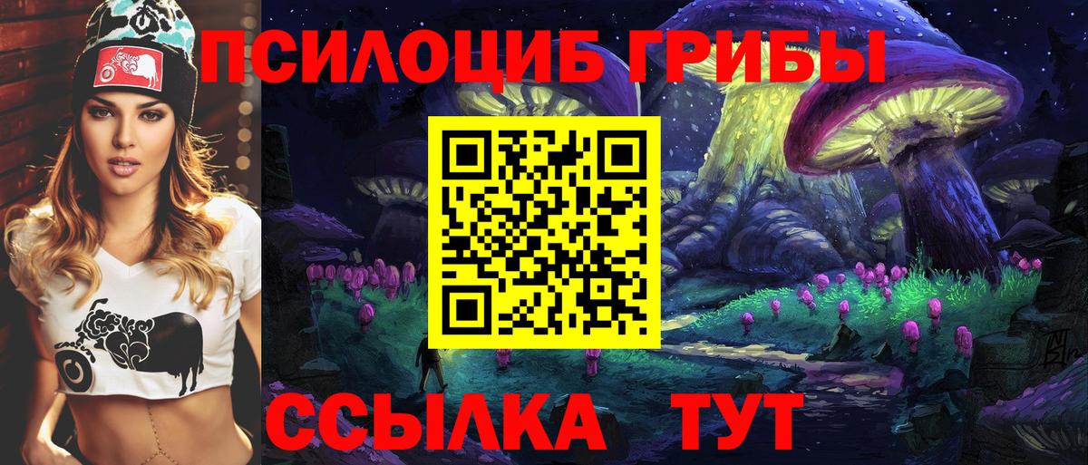 Псилоцибиновые грибы мицелий  Вход с VPN  Сосновоборск 